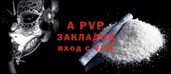 стаф Алексин