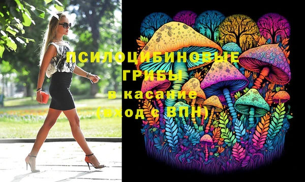 стаф Алексин