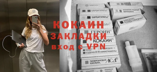 стаф Алексин