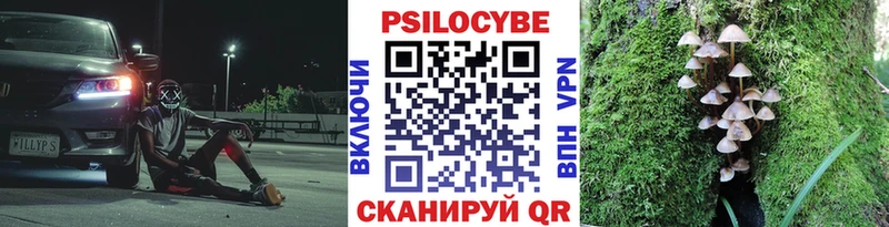 Галлюциногенные грибы MAGIC MUSHROOMS  KRAKEN онион  Новая Ладога 
