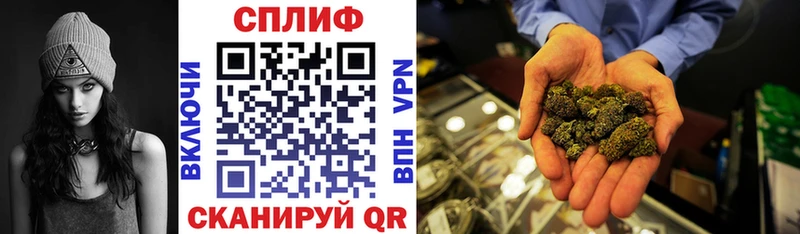 Канабис сатива Новая Ладога