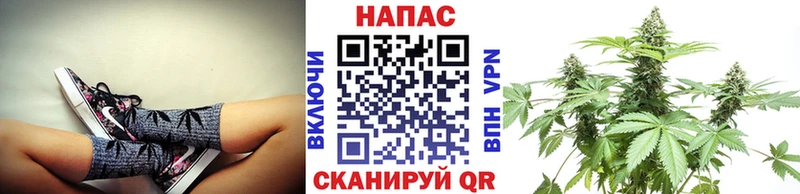 МАРИХУАНА OG Kush Новая Ладога